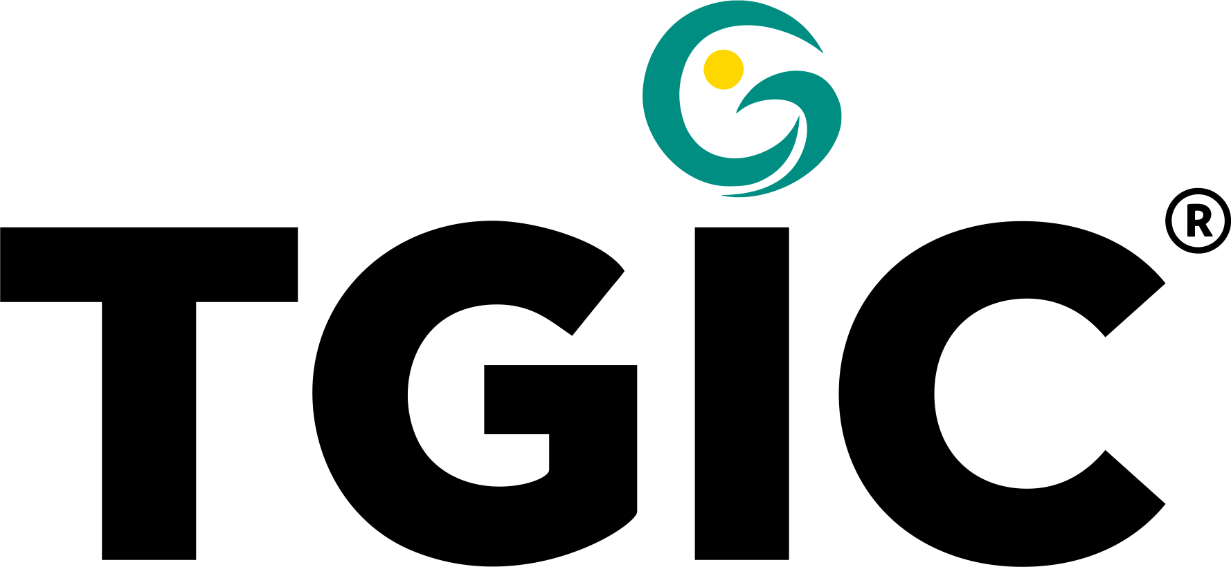 TGIClogo tgiclogo